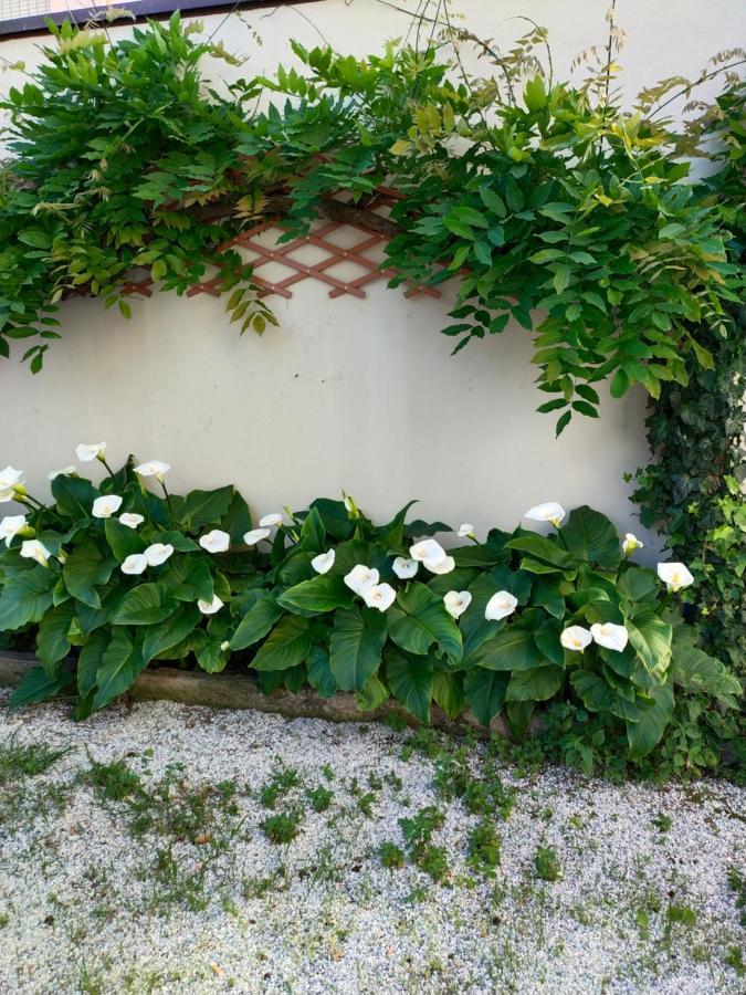 Hotel Goldene Rose ริมินี ภายนอก รูปภาพ